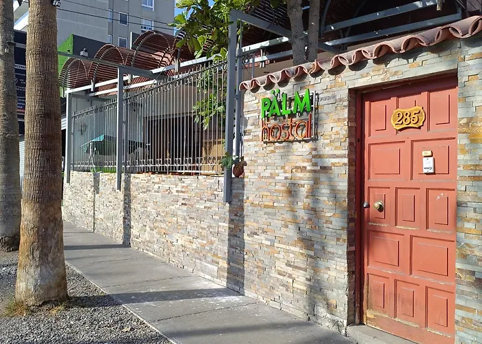 Palm Hostal